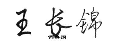 駱恆光王長錦行書個性簽名怎么寫