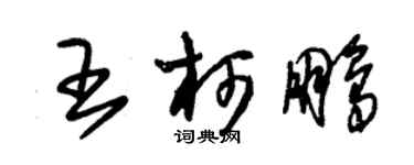 朱錫榮王柯鵬草書個性簽名怎么寫