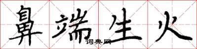 周炳元鼻端生火楷書怎么寫