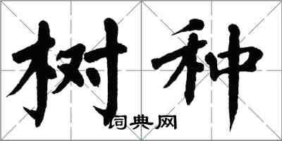 翁闓運樹種楷書怎么寫