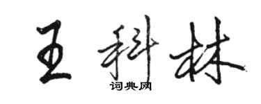 駱恆光王科林行書個性簽名怎么寫