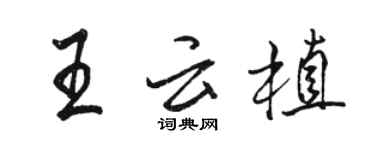 駱恆光王雲植行書個性簽名怎么寫