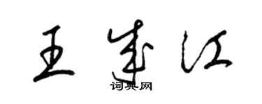 梁錦英王成江草書個性簽名怎么寫