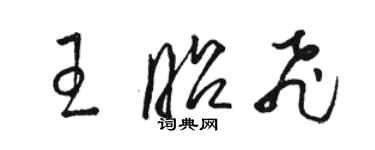 駱恆光王昭飛草書個性簽名怎么寫