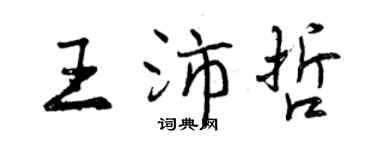 曾慶福王沛哲行書個性簽名怎么寫