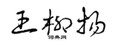 曾慶福王柳揚草書個性簽名怎么寫