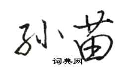 駱恆光孫苗行書個性簽名怎么寫