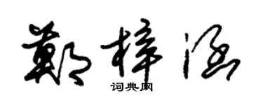 朱錫榮鄭梓涵草書個性簽名怎么寫