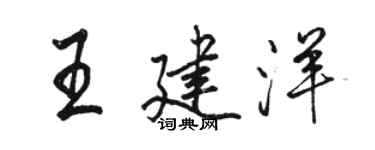 駱恆光王建洋行書個性簽名怎么寫
