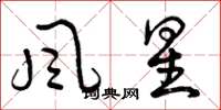 曾慶福風星草書怎么寫