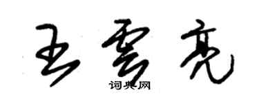 朱錫榮王雲亮草書個性簽名怎么寫