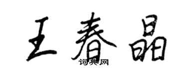 王正良王春晶行書個性簽名怎么寫