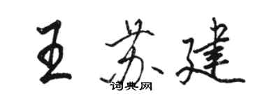 駱恆光王蘇建行書個性簽名怎么寫