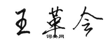 駱恆光王革會行書個性簽名怎么寫