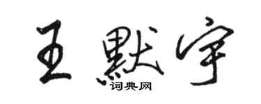 駱恆光王默宇行書個性簽名怎么寫