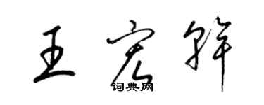 梁錦英王宏乾草書個性簽名怎么寫