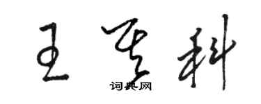 駱恆光王其科草書個性簽名怎么寫