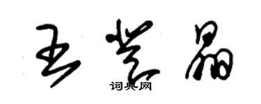 朱錫榮王登晶草書個性簽名怎么寫