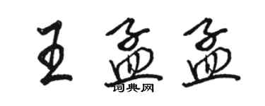 駱恆光王孟孟行書個性簽名怎么寫