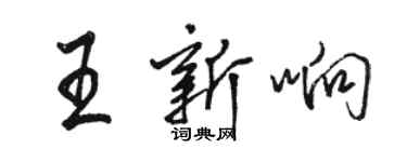 駱恆光王新響行書個性簽名怎么寫