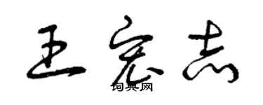 曾慶福王宏志草書個性簽名怎么寫