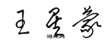 駱恆光王星蒙草書個性簽名怎么寫