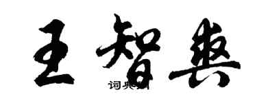 胡問遂王智爽行書個性簽名怎么寫