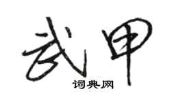 駱恆光武甲行書個性簽名怎么寫