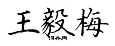 丁謙王毅梅楷書個性簽名怎么寫
