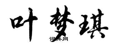 胡問遂葉夢琪行書個性簽名怎么寫