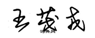 朱錫榮王茂戎草書個性簽名怎么寫