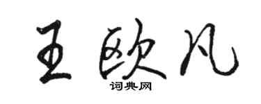 駱恆光王歐凡行書個性簽名怎么寫