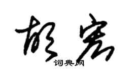 朱錫榮胡宏草書個性簽名怎么寫