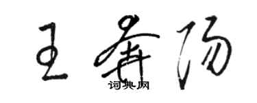 駱恆光王奔陽草書個性簽名怎么寫