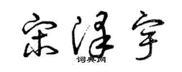 曾慶福宋澤宇草書個性簽名怎么寫