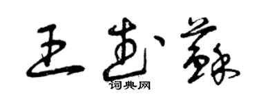 曾慶福王武蘇草書個性簽名怎么寫