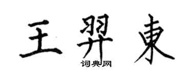 何伯昌王羿東楷書個性簽名怎么寫