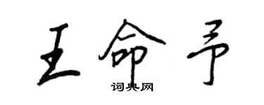 王正良王命予行書個性簽名怎么寫