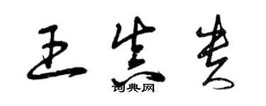 曾慶福王真貴草書個性簽名怎么寫