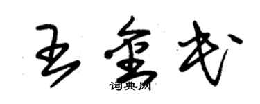 朱錫榮王金民草書個性簽名怎么寫