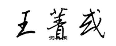 王正良王菁或行書個性簽名怎么寫