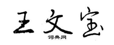曾慶福王文寶行書個性簽名怎么寫