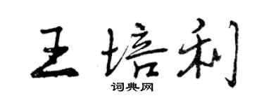曾慶福王培利行書個性簽名怎么寫