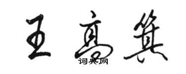 駱恆光王高箕行書個性簽名怎么寫