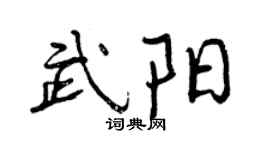 曾慶福武陽行書個性簽名怎么寫