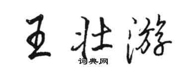 駱恆光王壯遊行書個性簽名怎么寫