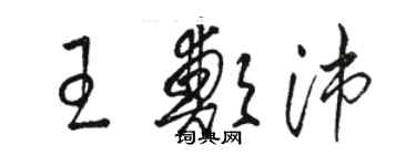 駱恆光王鄭沛草書個性簽名怎么寫