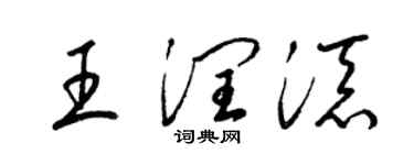 梁錦英王潤添草書個性簽名怎么寫