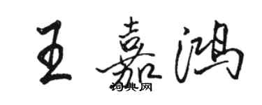 駱恆光王嘉鴻行書個性簽名怎么寫