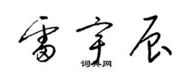 梁錦英雷宇辰草書個性簽名怎么寫